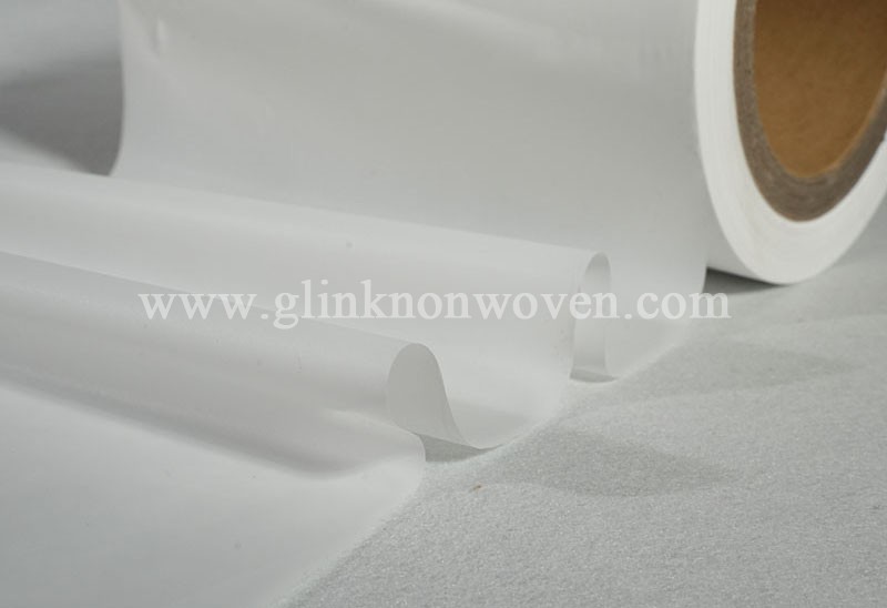 backsheet film